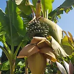 Hospedaje Oreña Orena