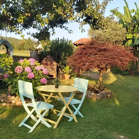 Hospedaje Orena Guest house *