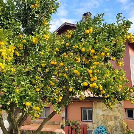 Hospedaje Orena Gasthof Orena