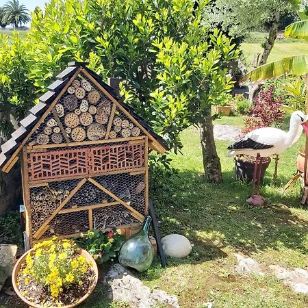 Hospedaje Orena Gasthof 3*