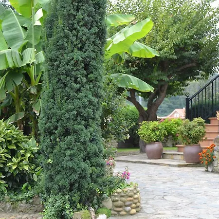 Guest house Hospedaje Orena *