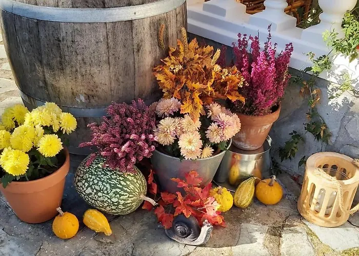 בית הארחה Hospedaje Orena 3*