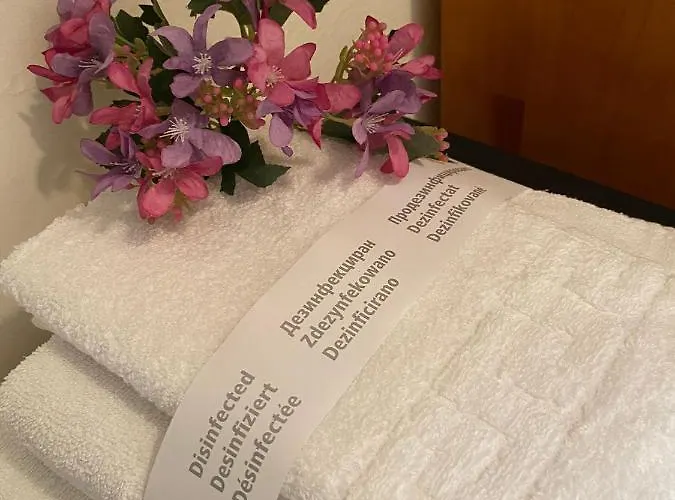 Hospedaje Orena Guest house 3*