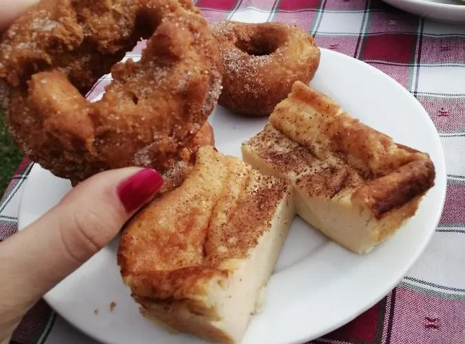 Hospedaje Orena Guest house