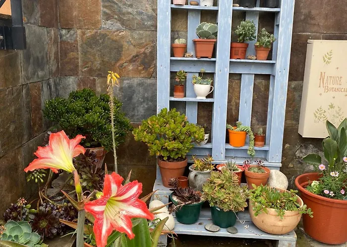 Hospedaje Orena Guest house 3*