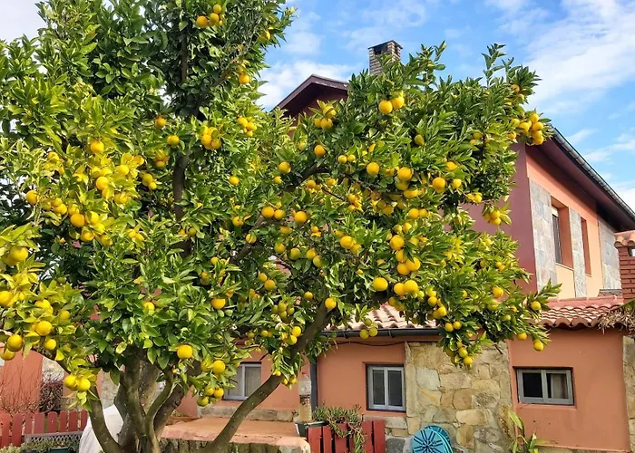 Hospedaje Orena Πανσιόν Orena