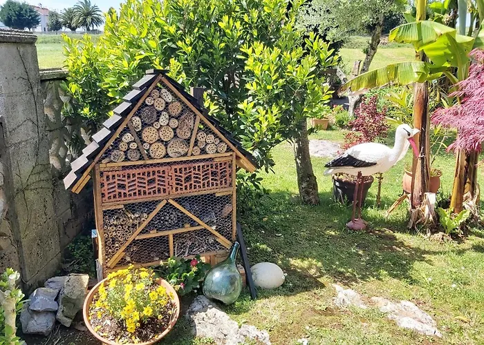 Hospedaje Orena בית הארחה 3*