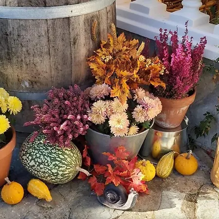 Gæstehus Hospedaje Orena 3*