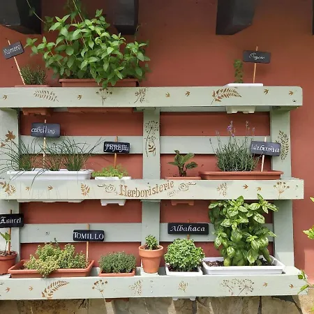 Hospedaje Orena 3* Orena