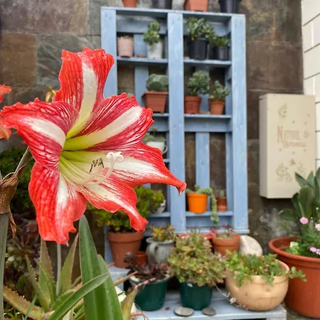 Gæstehus Hospedaje Orena Orena