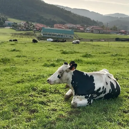 Gæstehus Hospedaje Orena