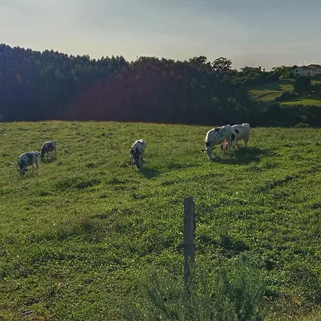 Gæstehus Hospedaje Orena 3*