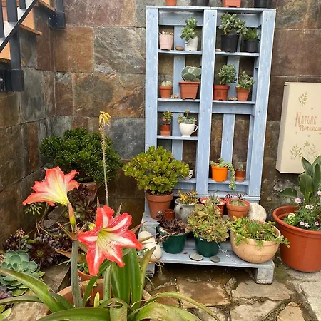 Hospedaje Orena Gæstehus 3*