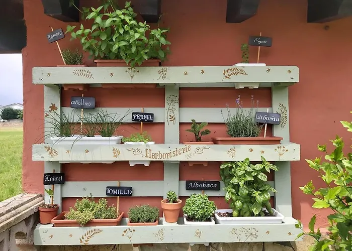 Hospedaje Oreña 3* Orena