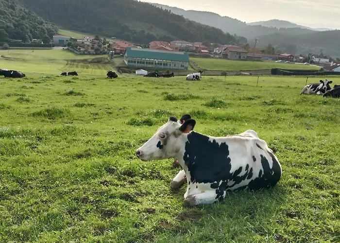 Pensión Hospedaje Oreña