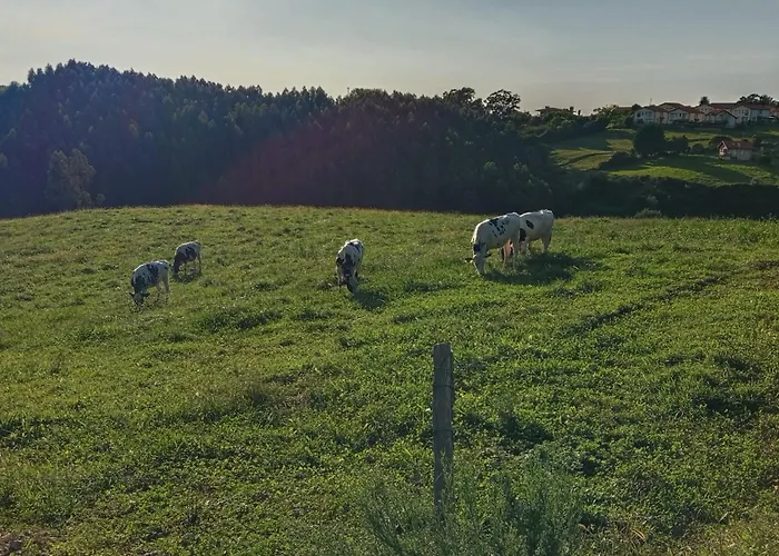 Pensión Hospedaje Oreña 3*