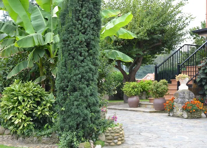 Pensión Hospedaje Oreña 3*